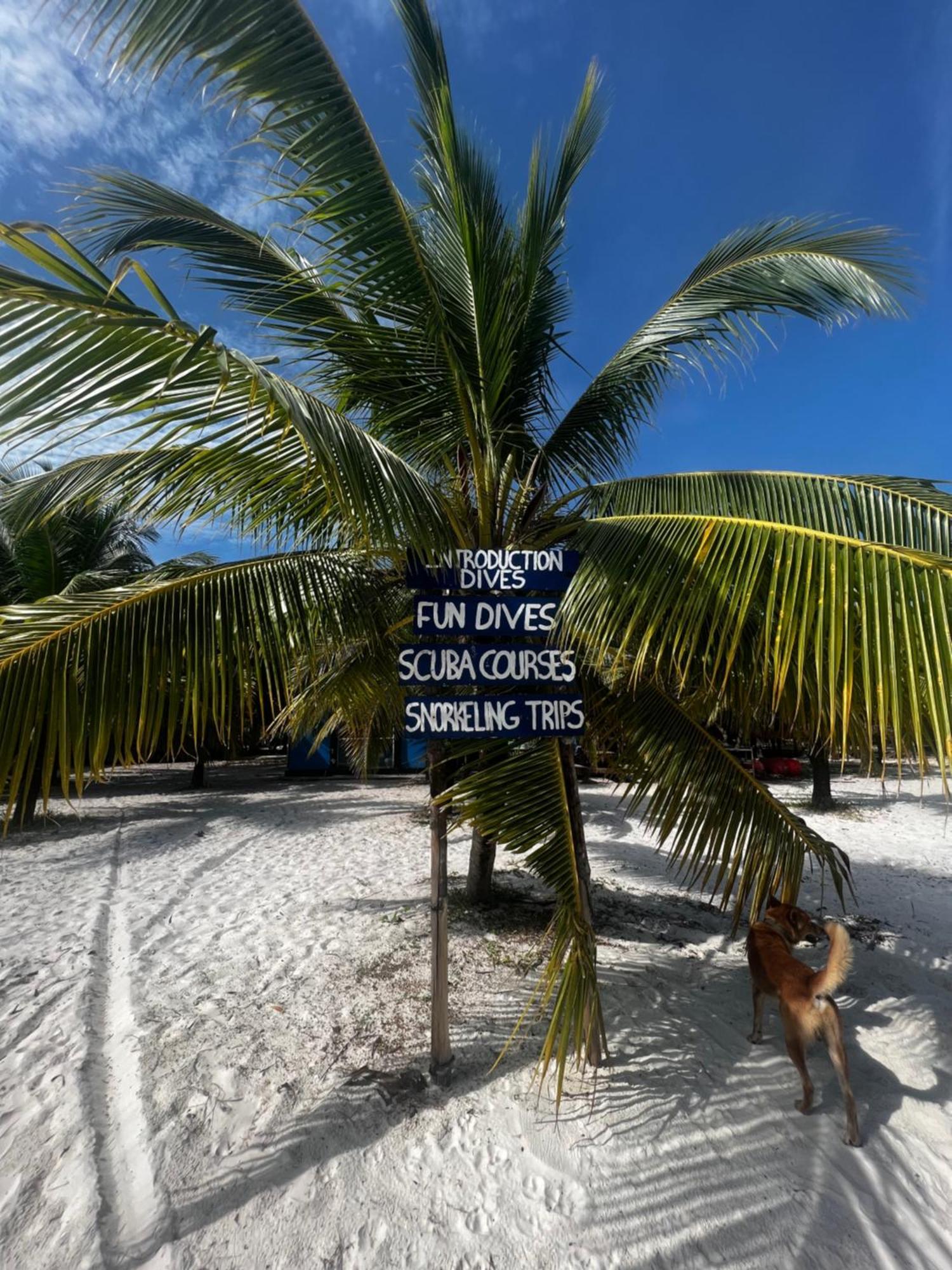 Rafikis Pansiyon Koh Rong Island Dış mekan fotoğraf